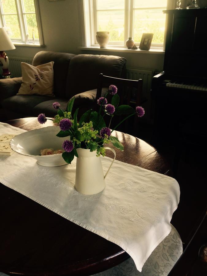 Asar Guesthouse Eyjafjaroarsveit エクステリア 写真
